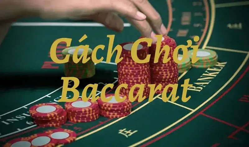 hướng dẫn chơi bài baccarat