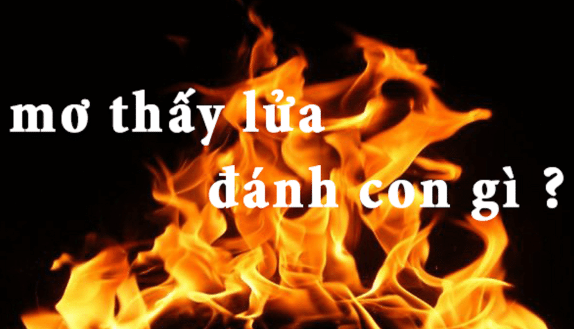 Mơ thấy lửa đánh con gì may mắn?