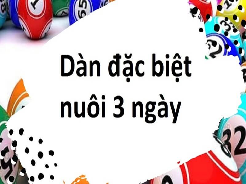 Nuôi dàn đặc biệt khung 3 ngày dễ chơi