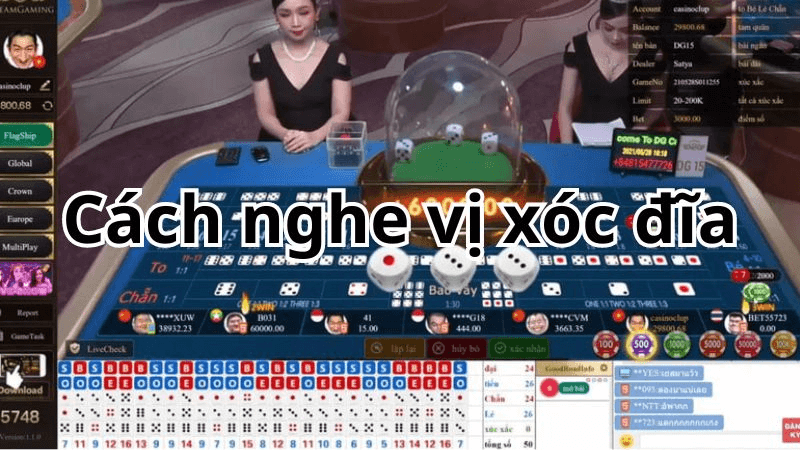 cách Đọc Vị Xóc Đĩa