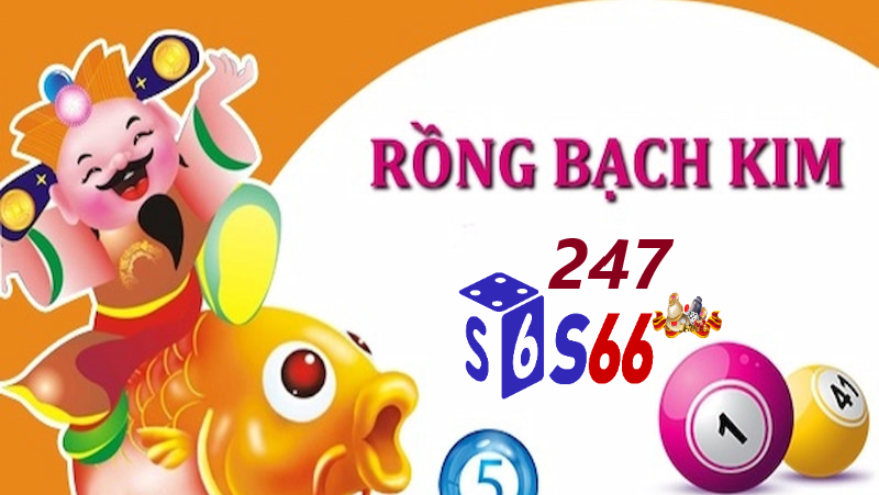 Rồng bạch kim 247